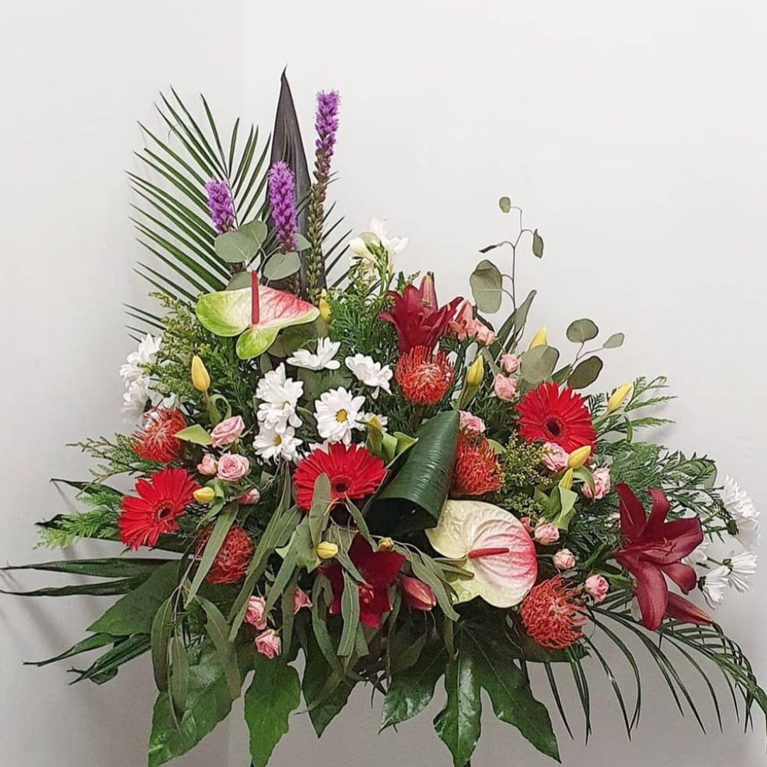 Floristeria Catillo Soria