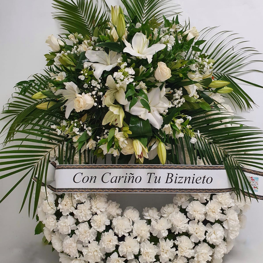 Floristeria Catillo Soria