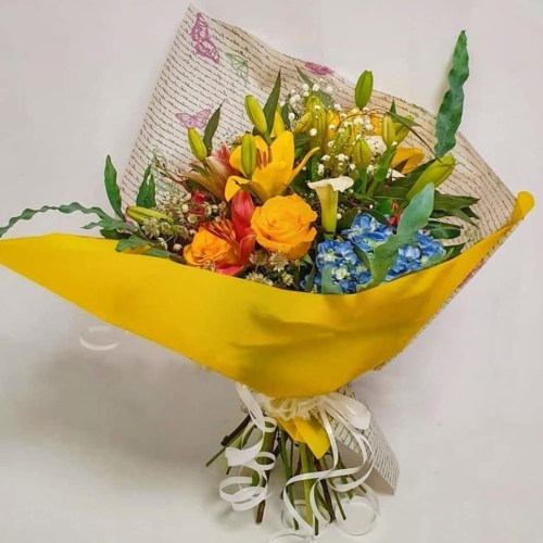 Floristeria Catillo Soria