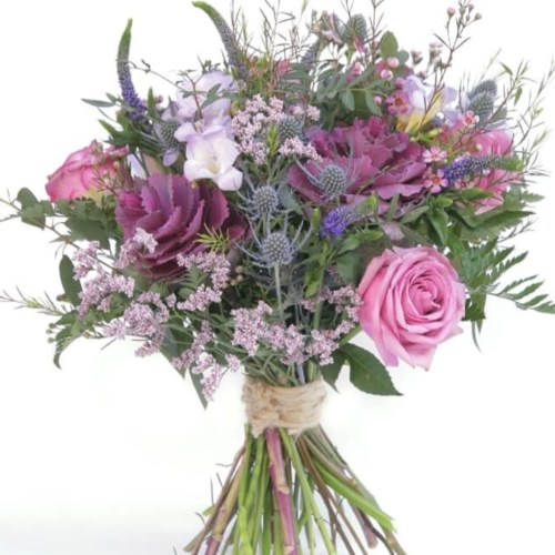 Floristeria Catillo Soria