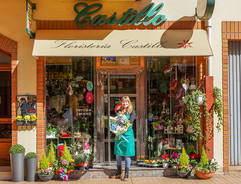Floristeria Catillo Soria