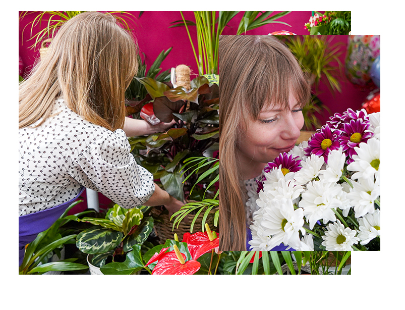 Floristeria Catillo Soria