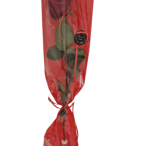 1 rosa roja (blanca, amarilla y rosa)