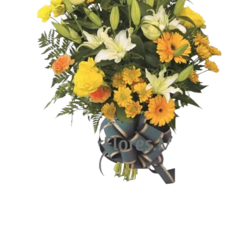 Ramo funerario Hanna