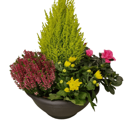 Cesta de plantas de exterior ll